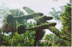 P-38 topiary